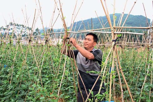陈良山在扶贫基地中检查蔬菜种植设施.jpg