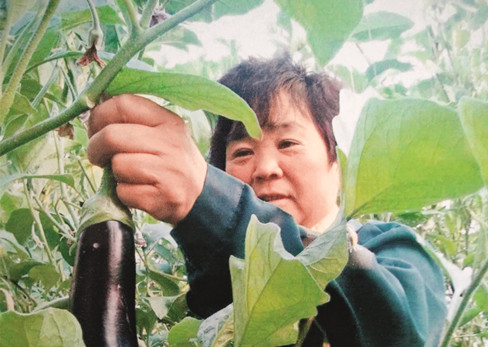 辽宁 脱贫典型 周翠香事迹3_副本.jpg